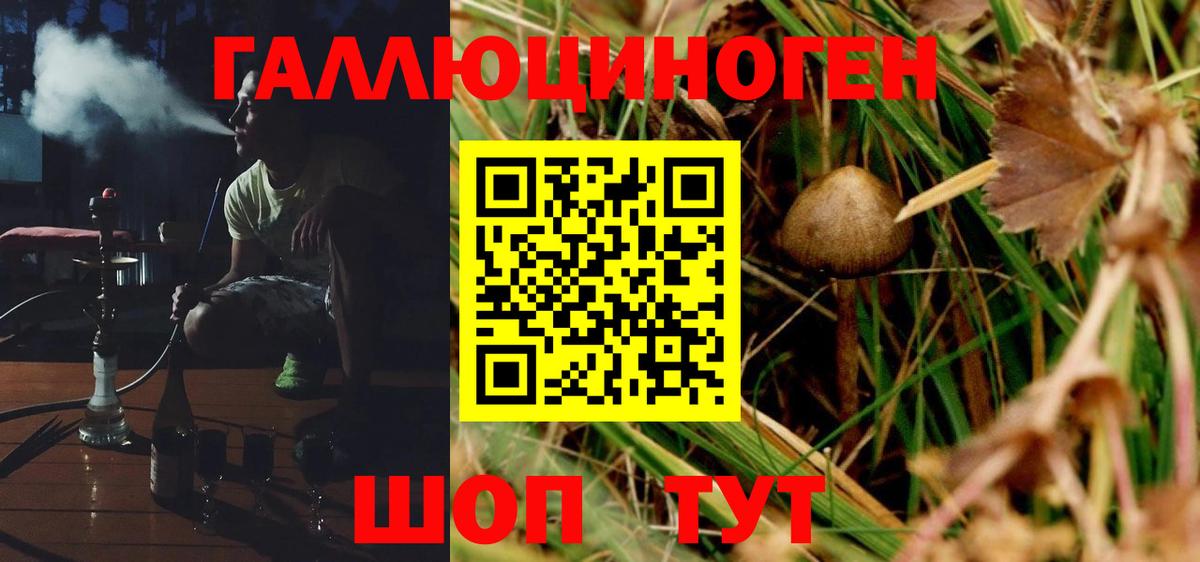 Псилоцибиновые грибы Psilocybine cubensis  Вход с VPN  где купить наркоту  Красноармейск 